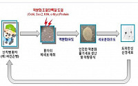 차병원, 역분화줄기세포 기술 세계 첫 개발