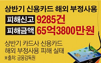[데이터뉴스] 해외 신용카드 부정사용 1만건 달해