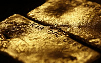 금값, 내년 전망은?
