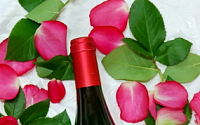 LG상사, 여성 위한 바바 로제타 와인 출시