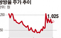 쌍방울, 중국 롯데홈쇼핑서 첫방송… 알리바바 '티몰' 입점 추진
