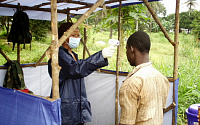 WHO “서아프리카 에볼라 피해 확산, 사망자 7693명·감염자 1만9695명”