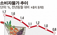 [종합]소비자물가 14개월만에 0%대 진입…커지는 디플레이션 공포