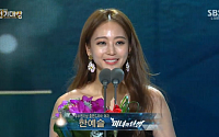 [온라인 와글와글]2015년 을미년 복 많이 받으세요, SBS 연기대상 한예슬, KBS 연기대상 유동근