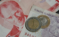 터키, 환율방어 나섰다…외환 지급준비율 인상