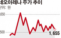 네오아레나 박진환 대표 “최대 주주 변함 없다”
