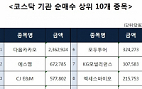 [코스닥 기관 순매수 상위 10개 종목]