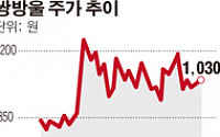 [SP]쌍방울, 알리바바 골드파트너 이어 티몰과도 계약