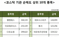 [코스닥 기관 순매도 상위 10개 종목]