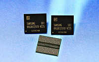 삼성전자, 세계 최초 20나노 ‘88Gb GDDR5 그래픽 D램’ 양산
