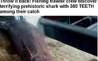 [포토] 300개 이빨 가진 선사시대 주름 상어 발견