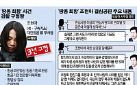 '땅콩회항' 조현아, '항로 변경죄' 인정 가능성은?