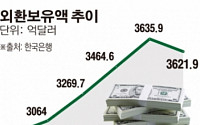 1월 외환보유액 8개월來 최저…유럽 양적완화 여파