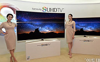 삼성, 'Super UHD OLED' 상표 출원… OLED TV 상표권 선제 대응