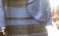 화이트골드냐 블루블랙이냐, 드레스 색깔 하나로 전세계 SNS 논쟁…김창렬은? &quot;두 가지 다 보여&quot;