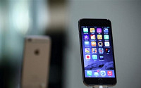 애플, 4인치 아이폰 '아이폰6C' 내놓나?… 대만發 출시설 '솔솔'