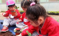 서울시, 어린이 3500명 대상 친환경농업 체험프로그램 운영
