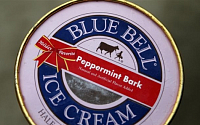 미국 캔자스 주서 아이스크림 중독으로 3명 사망