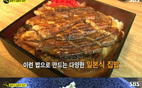 '생활의 달인' 일본식 집밥의 달인, '히메시아'·'만쿠푸' 가게 위치는?