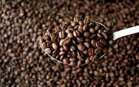 커피값 오른다...원두값 5개월여 만에 급반등 “연내 8% 더 오를 듯”