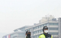[포토] 꽃 피는 봄, '불청객' 미세먼지
