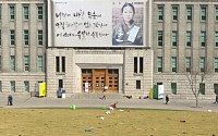 [포토] 잔디로 채워지는 서울광장