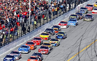 [오늘의 미국화제] 미국스톡카경주협회‘NASCAR’·강아지 사진 공유하는 ‘내셔널 퍼피데이’