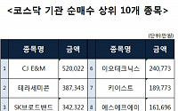 [코스닥 기관 순매수 상위 10개 종목]