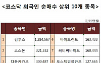 [코스닥 외국인 순매수 상위 10개 종목]