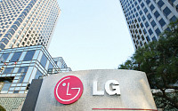 [기업지배구조]LG그룹, 지주회사 전환 성공으로 지배구조 안정