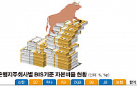 지난해 말 은행지주 BIS비율 13.68% '양호' ... BS지주 가장 낮아