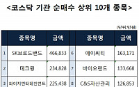 [코스닥 기관 순매수 상위 10개 종목]