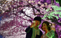 [포토] 봄밤 여의도 화려한 벚꽃 아래