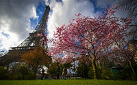 프랑스, 긴축 반대 파업에 에펠탑 9일 문 닫아