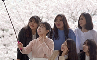 [일기예보] 오늘 날씨, 낮에는 포근…서울 여의도 벚꽃 축제 가기 좋아요~