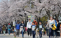 [포토] 사랑의 봄꽃길 걷기대회 '누가 가장 먼저 들어올까?'