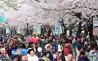 [포토]여의도 벚꽃축제, '사랑의 봄꽃길 걷기대회'