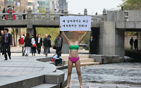 [포토] 강남 이어 청계천에 나타난 '아우디녀'