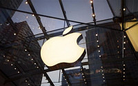 애플, 한국서 아이폰 판매량 2배 증가… 단통법 최대 수혜자로