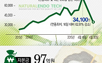 [카드뉴스 팡팡] 한눈에 보는 내츄럴엔도텍 주가… 보름만에 천당에서 지옥으로