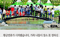 [짤막카드] 담양 대나무축제 개막, ‘운·수·대·통’서 멋과 맛을 즐겨보세요~!