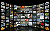 VOD 시청시간, TV프로가 영화·애니메이션의 2.5배