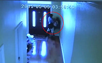 [붐업영상] 13세 소녀 집 따라와 강간 시도한 男, CCTV보니…