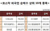 [코스닥 외국인 순매수 상위 10개 종목]