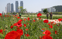 [일기예보] 내일날씨, 전국 맑아 나들이 안성맞춤… 미세먼지 보통수준