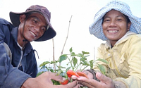 [CSR 이제 세계로]CJ그룹, 베트남 농가 자립 ‘새마을운동’ 수출