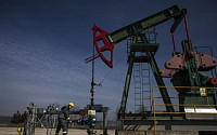 이란 석유 부장관 “국제유가, 내년 말 80달러대 간다…OPEC 감산 안 할 것”