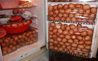 [포토] 달걀 1000개 훔친 식품공장 경비원 &quot;집안이 달걀판&quot;