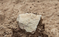 인류 최고 석기 발견, 무려 330만년 전...‘사람도 등장하지 않았을 때’