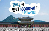 [카드뉴스 팡팡] 광화문에 판다 1600마리가 나타났어요!